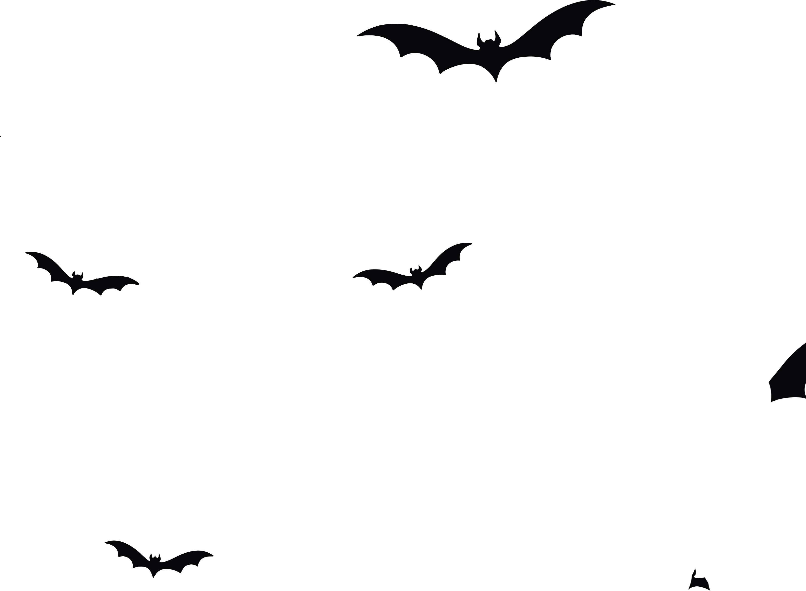 bats