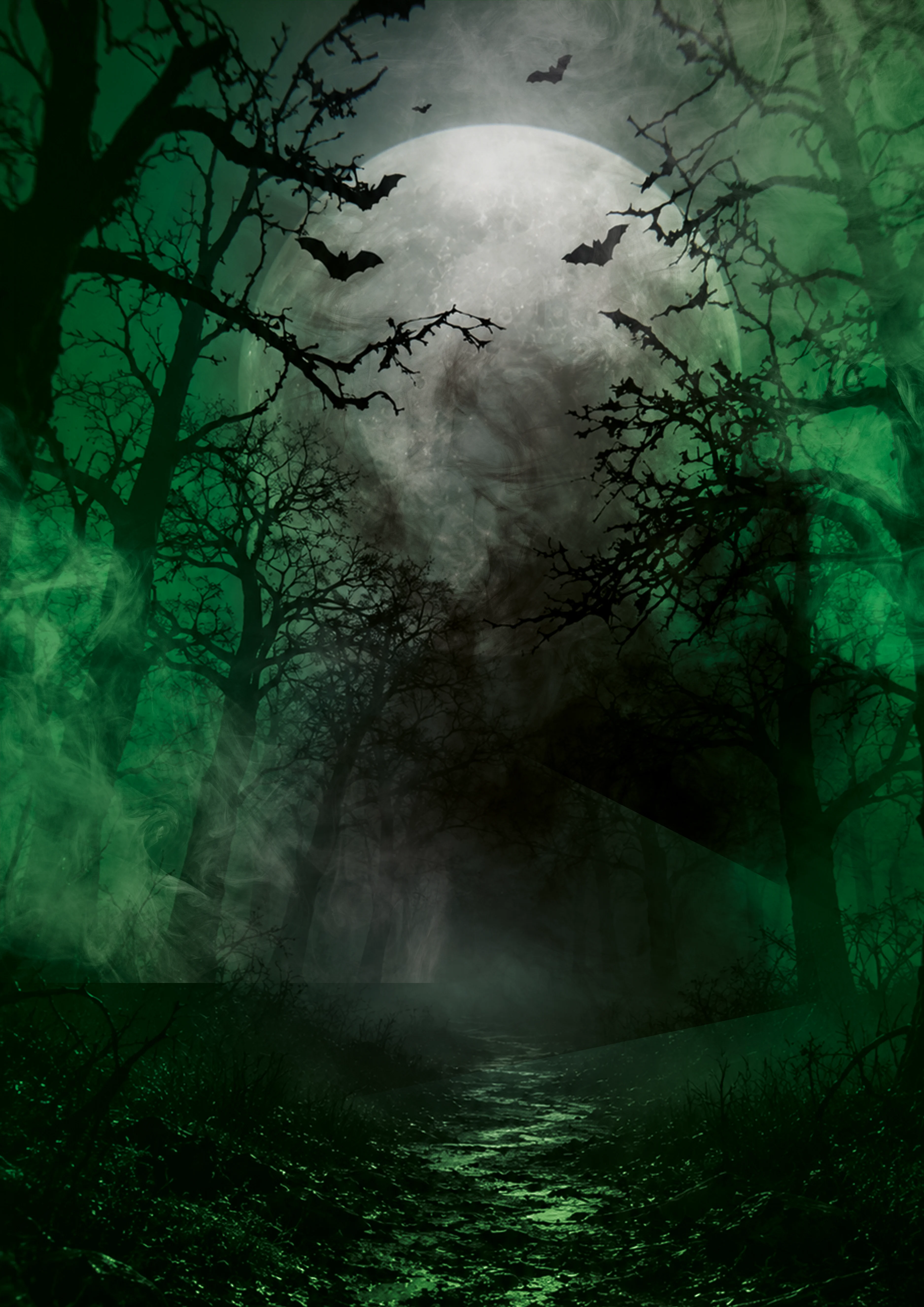 banner background